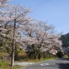 【正田】JR伯備線沿い