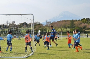 選手と一緒にボールを追いかけます