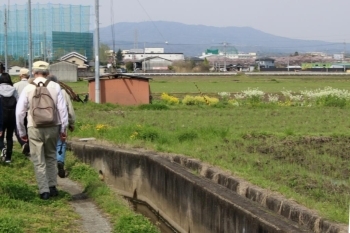 のどかな田園風景を<br>春の花々が彩ります