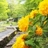 可児やすらぎの森公園　中部地区最大級のロングローラー滑り台がある　遊具あり　芝生広場あり　トイレあり　駐車場あり　可児市東帷子