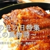 土用の丑の日まとめ ~夏の風物詩~