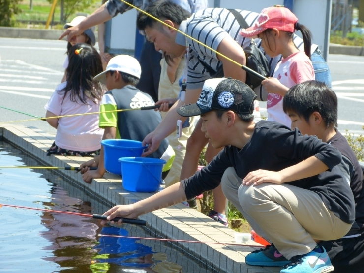 「こいまつり」と言えば、もちろん「鯉釣り体験」です！　初めて釣りを体験するお子さんは、おじいちゃんやお父さん、おばあちゃんやお母さんに手伝ってもらい釣りを楽しんでいました♪