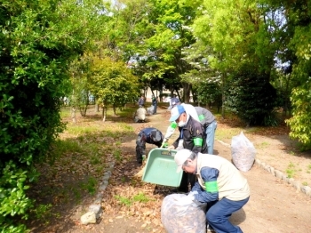 公園内の歩道にも多くの落ち葉が