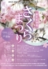 和ダンス 桜の木 読み直し