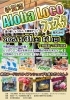 手賀沼Aloha Locoフェスタ