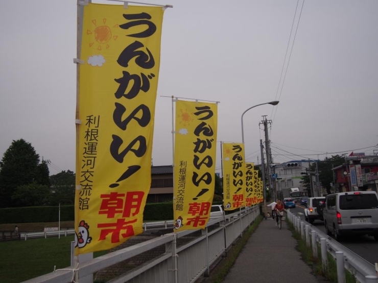 うんがいい！朝市の、のぼり旗がたくさんなびいてます！