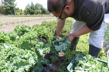 美味しい野菜の選び方も教えてもらえますよー！！