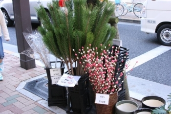 お花屋さん店頭の梅と若松。華やかな気持ちになります。