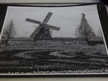 オランダの花と風車の風景…。
