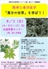 漢方健康料理 ３/雄渾社/北京中医学会（大型本） 漢方健康料理 3/雄渾社/北京中医学会（大型本）