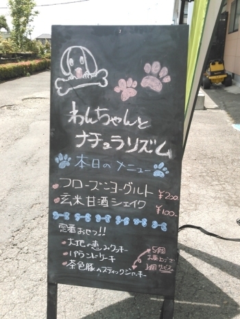 ワンちゃんと一緒に食べれる？・・・ということで僕も「フローズンヨーグルト」を食べてみました（笑）