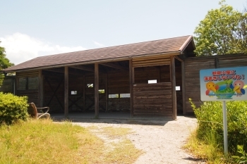 水鳥を観察するための「野鳥観察小屋」が河口付近にあります！　ここで干潟に飛来する水鳥の姿を見ることができます。