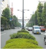 グリーン大通り池袋駅
東口から護国寺までの一直線、通称「グリーン大通り」。オフィスビルがひしめき合うビジネスストリートだ。