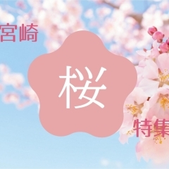 春の宮崎　お花見・桜スポット・桜開花情報2023（宮崎市・宮崎県央・宮崎県北エリア）