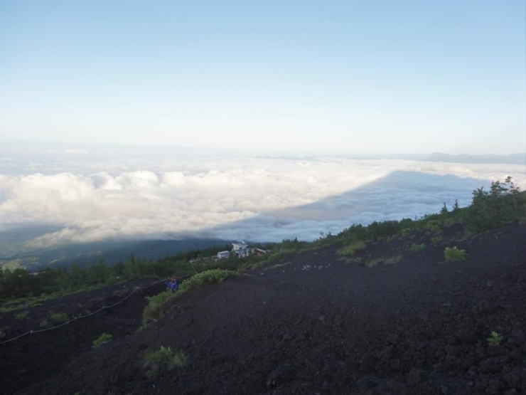 眼下には雲海が♪　そして富士山の影が見えます♪