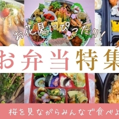 お花見にぴったりのお弁当をご紹介します!【松山】