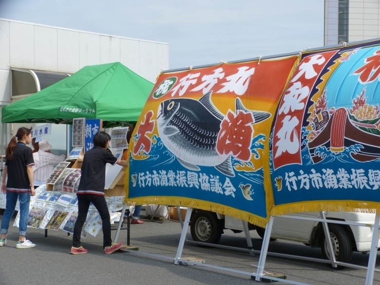 霞ケ浦ふれあいランドで開催された「夏の漁師市」は、この時期恒例です！　朝、水揚げしたばかりの販売するので、毎年楽しみにしている方もたくさんいます（≧▽≦）