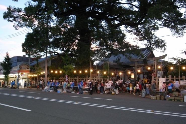 新熊野神社の大樟の下にも夜店の提灯がともります。