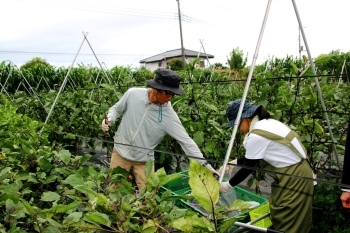 一緒に作業することで、絆も深まりますね。