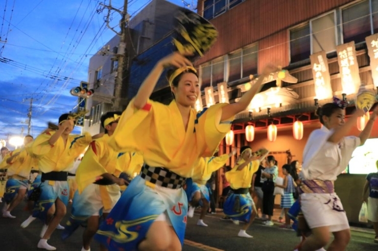 踊る阿呆に見る阿呆同じ阿呆なら踊らにゃ損損^^<br>見てると踊りたくなってきます♪