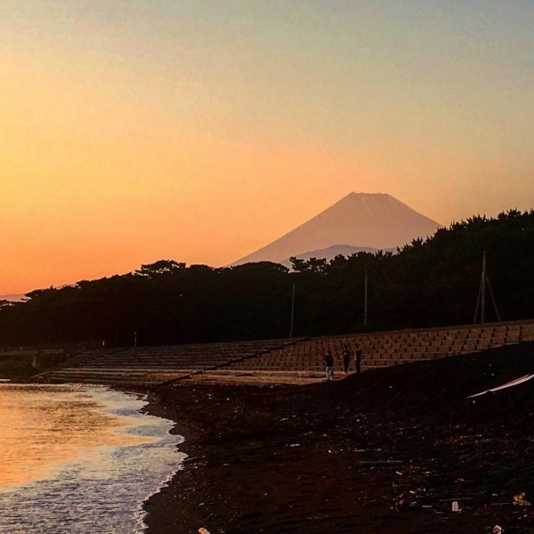 沼津島郷海岸から御用邸公園の松並木越しに富士山を仰ぐ<br>【タモン さんからの投稿】