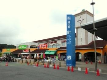 道の駅針インターに到着。