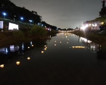 花とうろうが利根運河を流れていきます！