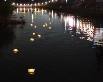 水面には灯りが映り、さらに幻想的です！