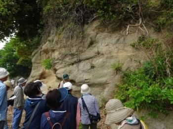 地質観察の様子