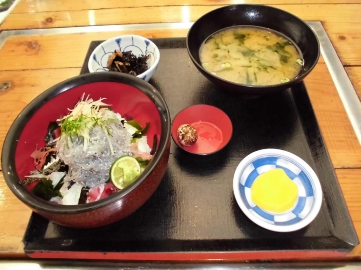 生シラス丼　1,200円<br><br>