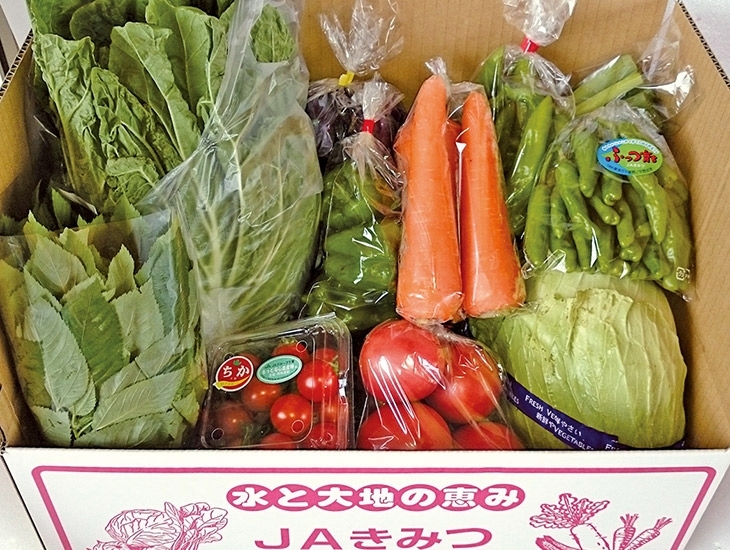 【毎月５０セット限定】☆旬の野菜詰め合わせBOX<br>※内容や品目数は季節によって変わります。