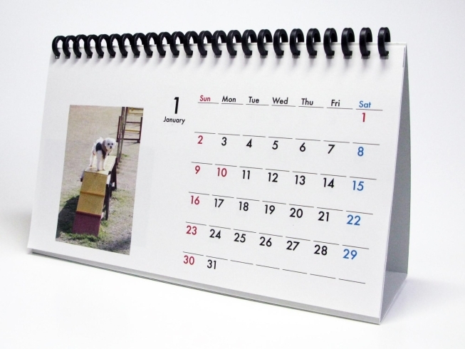 オリジナル卓上カレンダー（DOG&CAT）「サルビアスタンプ満貼台紙1冊がいつもよりお得にご利用いただけます！　両親へのプレゼントにお子さんのカレンダー、会社のデスクにワンちゃん・ネコちゃんのオリジナルカレンダーを作製してみませんか？ご依頼は安城市の精文堂印刷へどうぞ。」