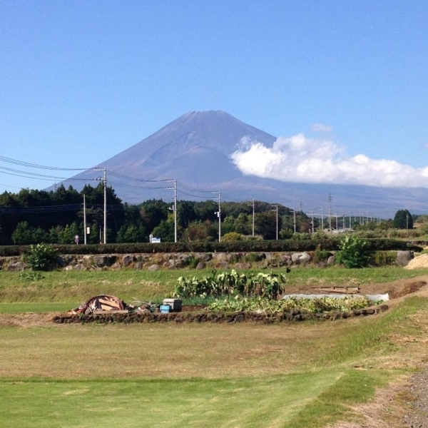 私のお気に入りは裾野市運動公園付近から見える富士山です。のどかな雰囲気が好きです♪<br>【アンディ　さんからの投稿】