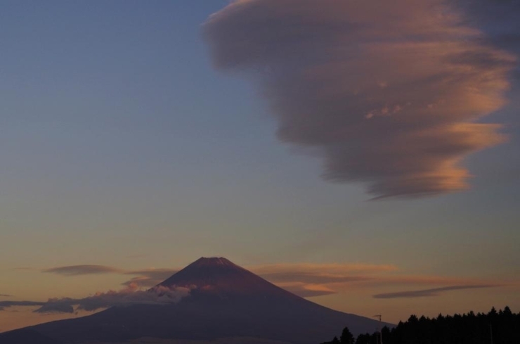 早朝朝陽が登る頃、富士山の横に巨大なつるし雲が出現。ちょうど朝焼けに染まっていきました。<br>【ぷりお さんからの投稿】