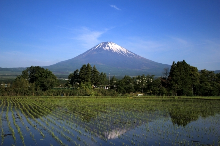  田植えの時期に見られる逆さ富士<br>【ｉモード さんからの投稿】