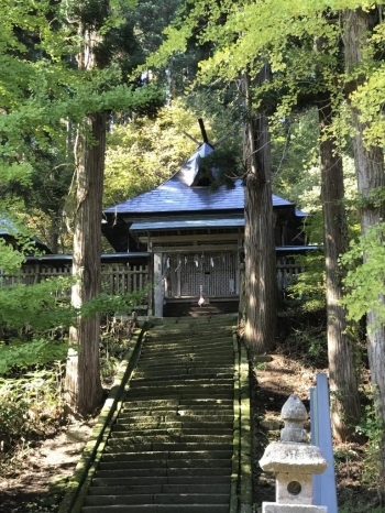 新宮熊野神社　本殿は熊野三社になっていてる<br>中央：新宮証誠殿　<br>左：末社　那智山飛龍権現<br>右：末社　本宮十二社権現