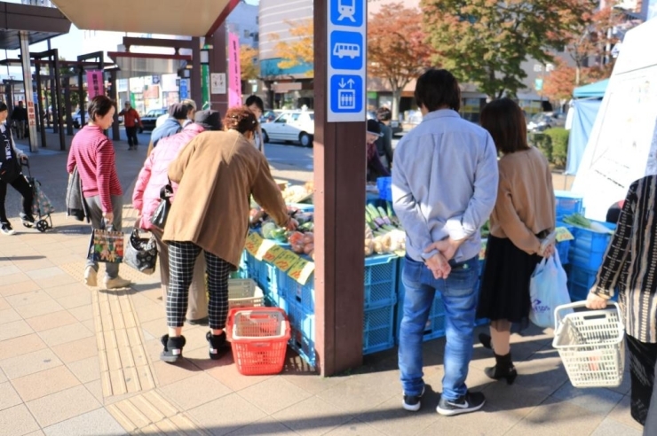 取れたての野菜が売っています。いかにもおかみさん市らしい～