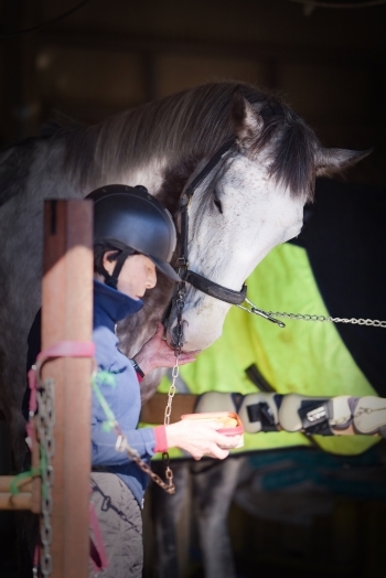 馬との交流も大事なレッスンです。「ちばシティ乗馬クラブ」