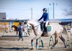 ちばシティ乗馬クラブ