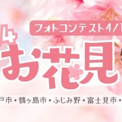 桜と菜の花のコントラストが美しい【高麗川桜堤（こまがわさくらづつみ）】