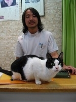 愛猫を含め原田さんは
犬3匹と猫4匹を飼っている


