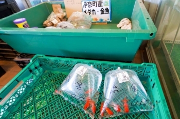 メダカ、金魚も伊奈町産です