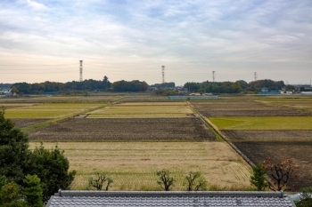 “けんかつ”の北側は田園地帯。<br>水田が広がり、秋には一面黄金色になります。