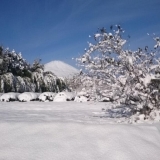 第2回みんなの富士山写真館#16～#20