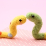 蛇の情愛