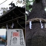 新熊野神社（いまくまのじんじゃ）と八咫烏（やたがらす）