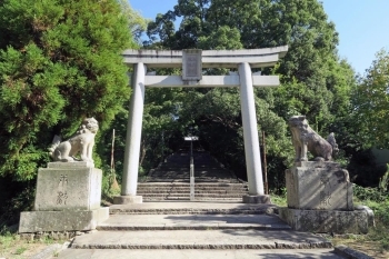 【西参道】<br>一ノ鳥居と阿吽の狛犬との先に石畳参道が延びる