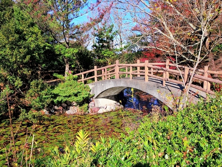 瑠璃宝の池（血の池）