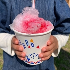 金谷小おらが市開催レポート/ 2025年4月27日(日)