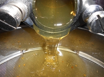 4.遠心分離機の蜜口から出るハチミツを濾過